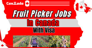 Farm Work Jobs In Canada With Free Visa Sponsorship 2024 – Apply Now